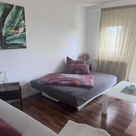 Mels Appartment Шветцинген Екстер'єр фото