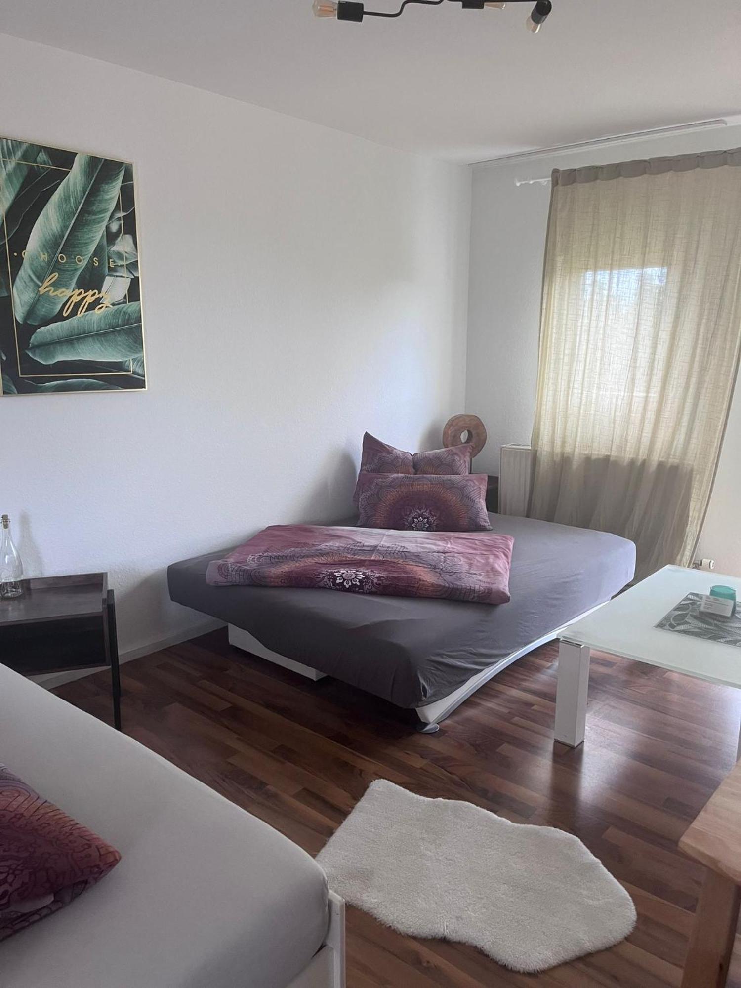 Mels Appartment Шветцинген Екстер'єр фото